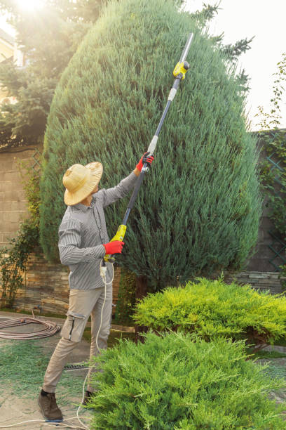 Best Lawn Watering Services  in Buhler, KS